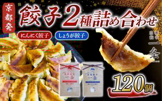 選べる 餃子 2種詰め合わせセット にんにく餃子 & しょうが餃子  120個  冷凍 ぎょうざ ギョウザ ギョーザ しょうが 生姜 豚肉 便利 簡単調理 惣菜 絶品 おかず お子様 家族 こだわり餃子 餃