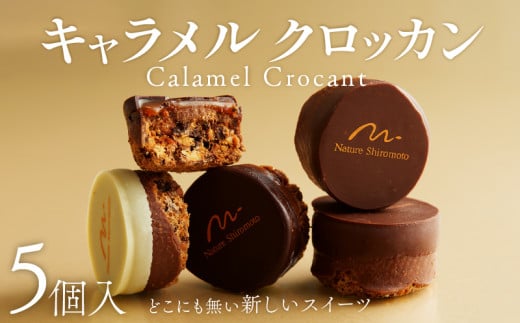 焼き菓子 キャラメルクロッカン 5個入 キャラメル クロッカン チョコ チョコレート カカオ スイーツ お菓子 焼菓子 おやつ デザート 洋菓子 ギフト プレゼント 贈り物 お祝い 御歳暮 お歳暮