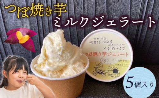 焼き芋 ミルクジェラート 5個入り さつまいも 国産 つぼ焼き芋 ジェラート ミルクと焼芋 焼き芋 やきいも スイーツ デザート 甘味 美味しい おすすめ 人気 ジェラート アイス ミルク  京都府
