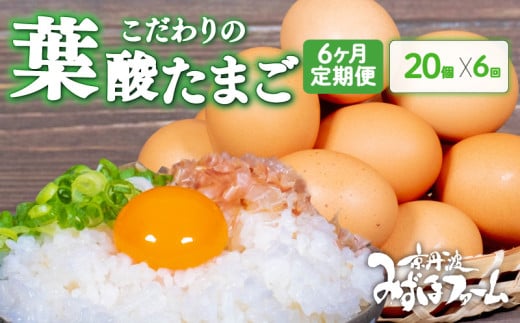 yցz t_܂ 20 (ۏ2܂) 6   s 藑 (  ܂ Z  ʎq Zbg ʎqĂ Ă  6 6  ŗ {  t_