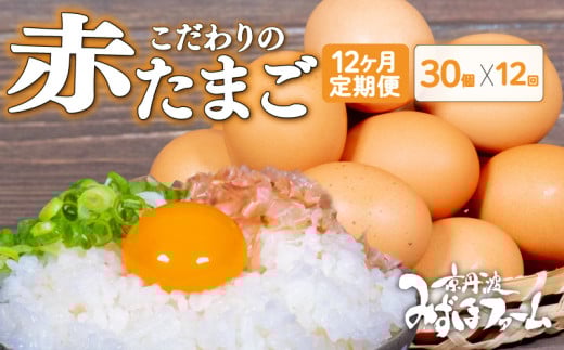 【定期便】赤たまご 30個 × 12回 (割れ保証4個含む) 定期便 定期 京都 こだわり卵 卵 たまご 濃い 玉子 セット 玉子焼き 卵焼き オムレツ 卵かけご飯 ゆで卵 鶏卵 卵黄 玉子スープ 玉子サン