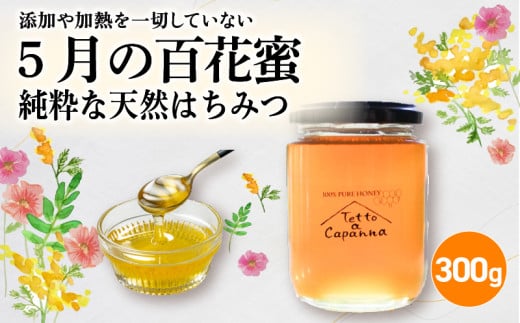 5月の百花蜜 300g ハチミツ 蜂蜜 はちみつ ハニー honey 純粋はちみつ 国産 非加熱 無添加 百花蜜 甘い 京都府京都府9000鍋セット・総菜・加工食品ジャム・はちみつ