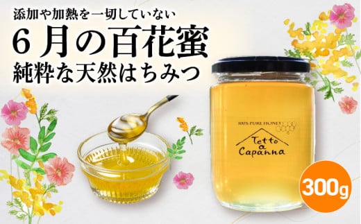 6月の百花蜜 300g ハチミツ 蜂蜜 はちみつ ハニー honey 純粋はちみつ 国産 非加熱 無添加 百花蜜 甘い 京都府京都府9000鍋セット・総菜・加工食品ジャム・はちみつ