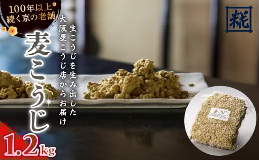 大阪屋こうじ店 麦こうじ 1升 (1.2kg) 麦麹 麦こうじ むぎこうじ 麹 塩麹 味噌 甘酒 国産 和食 発酵食品 冷蔵 京都府京都府10000鍋セット・総菜・加工食品その他 鍋セット・総菜・加工食品