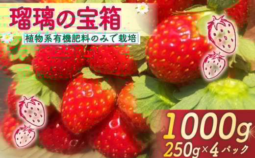【2026年3月〜5月発送】 いちご 1000g 瑠璃の宝箱 250g 4パック 有機JAS 植物系有機肥料のみ イチゴ 苺 オーガニックイチゴ ストロベリー ベリー フルーツ 果物 甘い 国産 ブランド 産地 直送 フレ