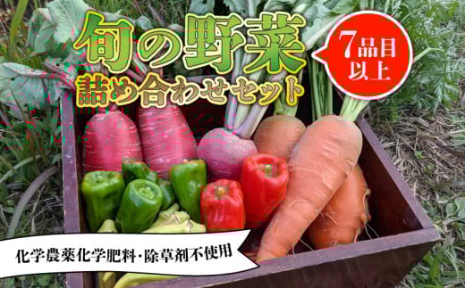 旬のお野菜セット 詰め合わせ (7〜10品目) 7月以降 発送 旬 野菜 国産 こだわり 京都府産 京丹波町産 季節 セット 有機肥料 化学農薬不使用 化学肥料不使用 除草剤不使用 おいしい おすす