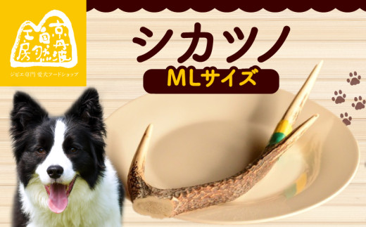シカツノ MLサイズ 鹿の角 鹿角 おもちゃ ペット おすすめ 国産 いぬ イヌ 犬 わんちゃん ワンちゃん 愛犬 犬のおもちゃ 犬用おもちゃ イヌのおもちゃ ペット用品 デンタルケア しつけ いた