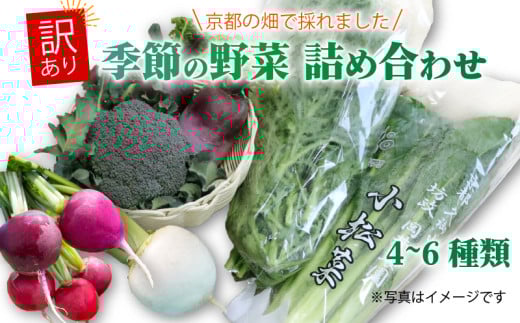 󂠂 s G߂̖ Zbg 4`6i lߍ킹  bR 킳э e ˂ Ȃ 卪 ubR[ g}g vR  T_ Ђ   H狞s{7000؁Ê̑