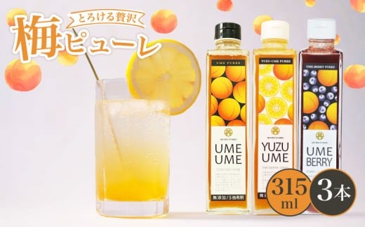 梅ピューレ3種詰め合わせ 3本 セット 315ml ( 無添加 フルーツ 果物 梅 完熟梅 うめ 柚子 ゆず ブルーベリー ジュース 梅ジュース ピューレ シロップ フルーツシロップ 果肉 常温 炭酸水 炭酸割