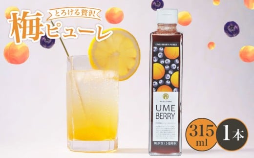 無添加 梅ピューレUMEBERRY 1本 315ml 梅ピューレ ジュレ 無添加 フルーツ 果物 梅 完熟梅 うめ ブルーベリー ベリー ジュース 梅ジュース ピューレ シロップ フルーツシロップ 果肉 常温 炭酸水