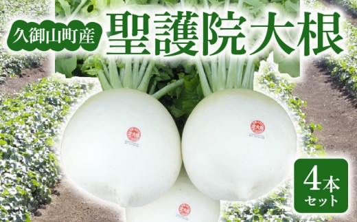 yԌz s @卪 4{ Zbg 卪 卪  ~ ł  ϕ s{ vR    ӂ͂ ~s{9000؁Ê卪EjWEؗ