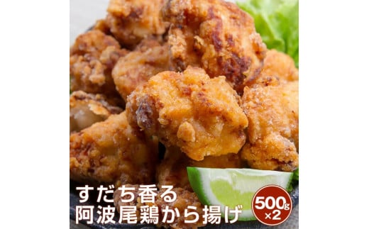 すだち香る 阿波尾鶏から揚げ 1kg(500g×2)徳島県徳島市25000肉その他 肉