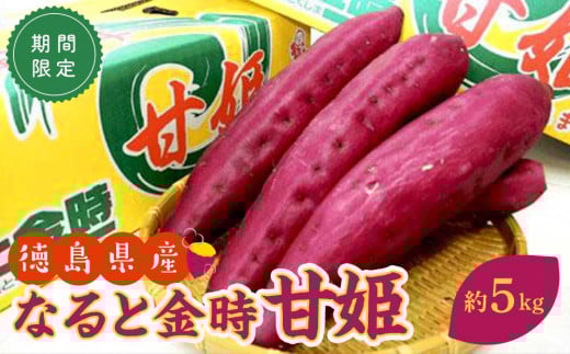 さつまいも なると金時 甘姫 約5kg 1箱【野菜 やさい 食品 人気 おすすめ  鳴門金時 芋 いも さつま芋 お取り寄せ】徳島県徳島市10000野菜・きのこじゃがいも・イモ類