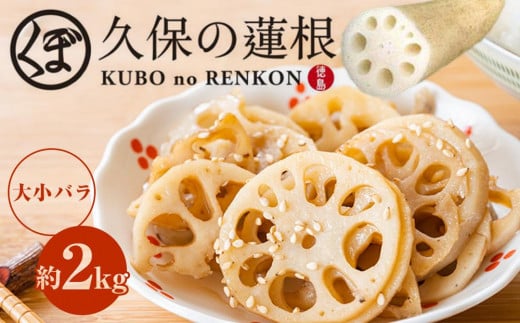 大小バラ 蓮根 約2kg れんこん徳島県徳島市11000野菜・きのこ大根・ニンジン・根菜類