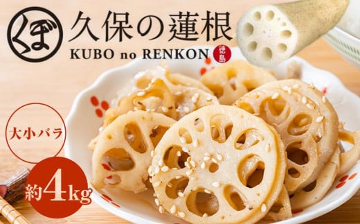 大小バラ 蓮根 約4kg れんこん徳島県徳島市22000野菜・きのこ大根・ニンジン・根菜類
