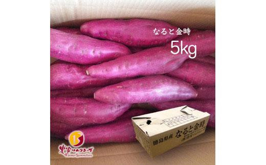 【ほくほく系のトップブランド】農家ソムリエーずなると金時5kg徳島県徳島市18000野菜・きのこじゃがいも・イモ類