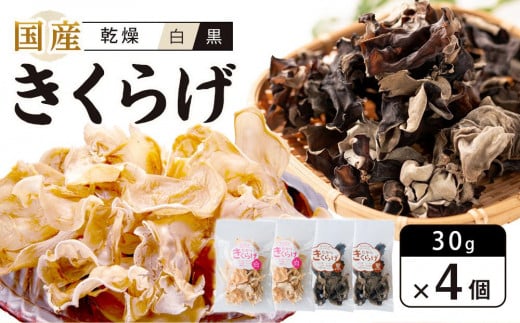 Y 炰 EZbg30g×4 (v120gjs9000؁Ê̂