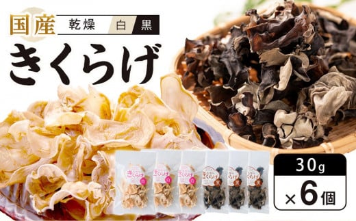 Y 炰 EZbg30g×6 iv180gjs14000؁Ê̂
