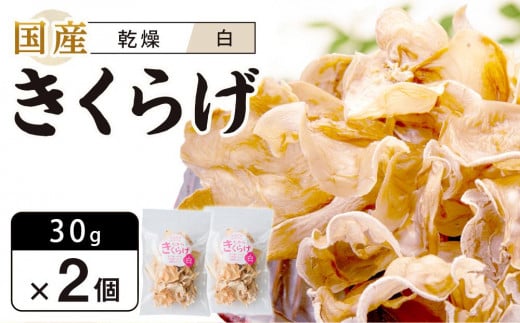 国産 乾燥きくらげ 白 30g×2個 (計60g)徳島県徳島市5000野菜・きのこきのこ
