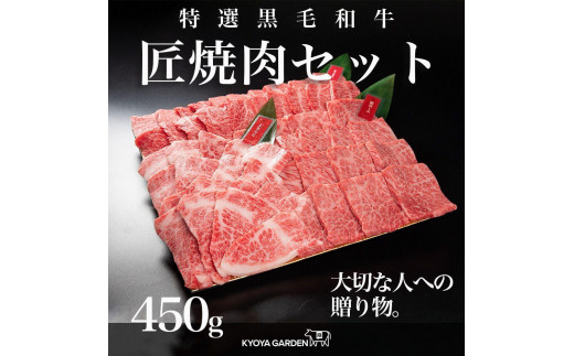 匠焼肉セット 約450g(約150g×3種類)A5等級徳島県徳島市23000肉牛肉