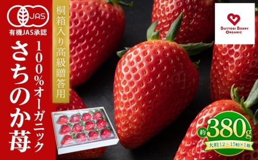 桐箱入り高級贈答用 とくしまオーガニックいちご・大粒(12~15粒 約380g)1箱徳島県徳島市21000果物・フルーツいちご