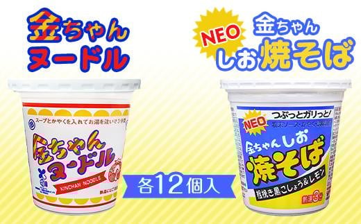 金ちゃんヌードル1箱(12個)+金ちゃんNEOしお焼きそば1箱(12個)徳島県徳島市17000麺その他 麺