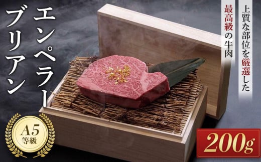 エンペラーブリアン(200g)徳島県徳島市23000肉牛肉