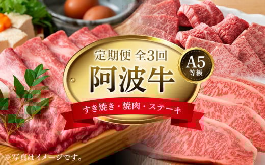 定期便全3回 阿波牛定期便 A5等級(特選すき焼きセット・匠焼肉セット・サーロインステーキ)徳島県徳島市119000肉牛肉