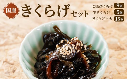 炰Zbgi炰E炰E炰Vjs21000ECY̑ ECY
