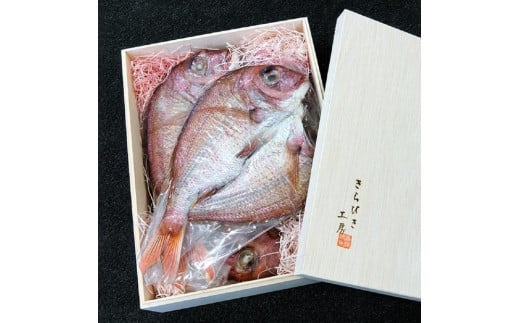 VR 銱i250g ×3jⓀs27000ZbgE؁EHHi