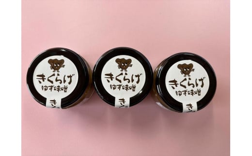 きくらげ入り ゆず味噌 100g×3個徳島県徳島市8000調味料・油味噌