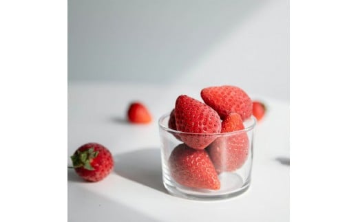 Ⓚ I[KjbN 1kg L@  ̂s16000ʕEt[c