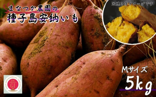 y  V Es\ z q ܂Ȃ_ [ (  ) M TCY 5kg@NFN001y300ptzV\s12000؁ÊႪEC