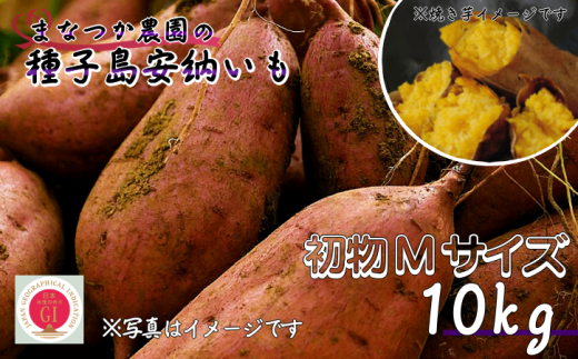 種子島 まなつか農園 安納いも ( 生いも ) Mサイズ 10kg NFN002【575pt】鹿児島県西之表市23000野菜・きのこじゃがいも・イモ類