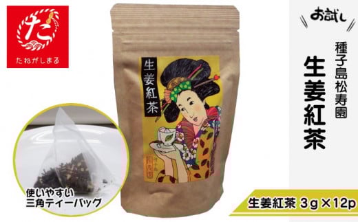 【たねがしまる4000】 種子島 松寿園 浮世絵柄 生姜紅茶  NFN917【100pt】 // 種子島産100% ティーバッグ テトラパック 伝統百年の茶園 レターパック 自園栽培 お試し 少量希望 ポスト投函鹿児
