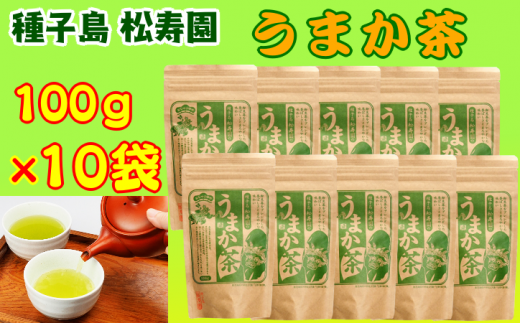 種子島 松寿園 うまか茶 100g ×10袋 NFN336【550pt】 // 自家焙煎 ブレンド 伝統百年の茶園 香ばしくまろやか 美味しいお茶の入れ方鹿児島県西之表市22000お茶・飲料お茶