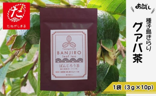 【たねがしまる4000】 種子島 ばんじろう 茶 ( グァバ 茶 ) NFN922【100pt】 // グァバ葉ポリフェノール ノンカフェイン さっぱりとした味わい レターパック鹿児島県西之表市4000お茶・飲料お茶