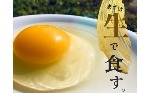 【3か月定期便】種子島 夢まるガーデン 平飼い 産み立て たまご 60個 ×3回分 NFN477 【1500pt】 こだわり 3か月連続 玉子 たまご 卵 毎日牧草 発酵飼料 観察・ふれあい 生みたて 産みたて鹿