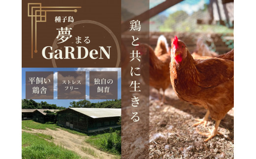 種子島 平飼い 産み立て たまご 夢まるガーデン 鶏卵 ×30個 NFN500【300pt】 玉子 鶏卵 卵 産み立て 鶏 こだわり 発酵飼料 安納いも 安納芋 安全 新鮮 オリジナルレシピ鹿児島県西之表市12000卵