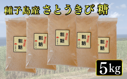 種子島 さとうきび糖 日昇製糖 粗糖 5kg NFN513 【300pt】 話題 種子島産 さとうきび サトウキビ 手作り お砂糖 ミネラル カルシウム マグネシウム カリウム きび砂糖鹿児島県西之表市12000調味