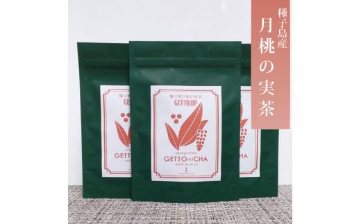種子島 月桃 の実が入った 月桃茶 3個 NFN536【300pt】 // ポリフェノール ノンカフェイン 清涼感 リラックス効果 種子島産 月桃の実茶 鹿児島県西之表市12000お茶・飲料お茶