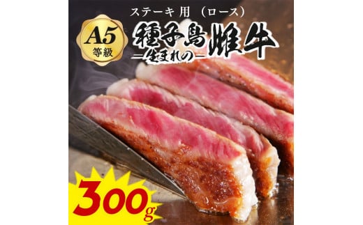 「 自慢 の逸品」  西之表市生まれの黒毛和牛 種子島 生まれ 雌牛 ステーキ 用 (300g) NFN542 【600pt】 最高級 ステーキ 霜降り イノシン酸 オレイン酸 豊富 霜降り肉鹿児島県西之表市24000肉