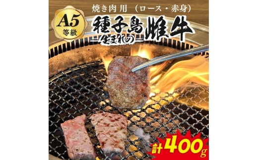 「 自慢 の逸品」 西之表市生まれの黒毛和牛  種子島 生まれ 雌牛 焼肉 用(400g) NFN541 【600pt】 最高級 霜降り肉 焼肉用 霜降り イノシン酸 オレイン酸 豊富鹿児島県西之表市24000肉牛肉