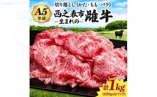 u  ̈iv V\s܂̍јa q ܂  ؂藎Ƃ  i200g×5pbNjNFN539 y300ptz ō Ԑg ؂藎Ƃ    o CmV_ IC_