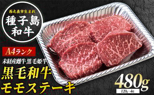 種子島 生まれ! 黒毛 和牛 モモステーキ 120g×4枚 NFN546 【750pt 】 黒毛和牛 赤身 霜降り ステーキ 焼肉 炙り焼き 人気 黒毛姫牛 A4ランク 西之表市生まれの黒毛和牛鹿児島県西之表市30000肉牛