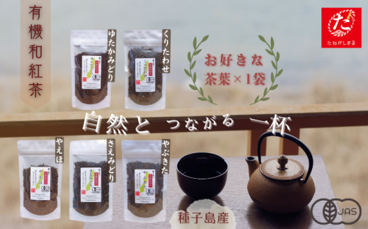 【たねがしまる4000】種子島 の 選べる  有機 和紅茶 茶葉 (リーフ)1種  NFN936【100pt】鹿児島県西之表市4000お茶・飲料コーヒー・紅茶