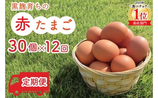\2026年1月より順次配送/【定期便】黒麹育ちの赤たまご30個(年12回) 益子町 ふるさと納税 たまご 卵 タマゴ 赤たまご 人気 濃厚 食べチョク 定期便 (BC003-01)栃木県益子町108000卵・乳製品卵