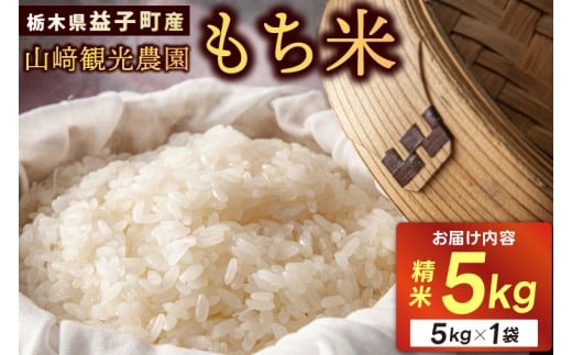 山ア観光農園のもち米 5kg | 栃木県 益子町 ふるさと納税 お米 米 もち米 5kg 令和7年産 (AU008)栃木県益子町17000米・パン玄米・雑穀米・もち米・餅