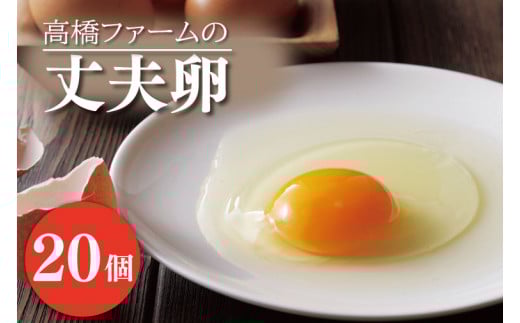 国産たまご「高橋ファームの丈夫卵」20個入り|平飼い鶏舎 卵 玉子 タマゴ 鶏卵 朝食 生卵 卵かけごはん (AQ001)栃木県益子町8000卵・乳製品卵(鶏、烏骨鶏等)