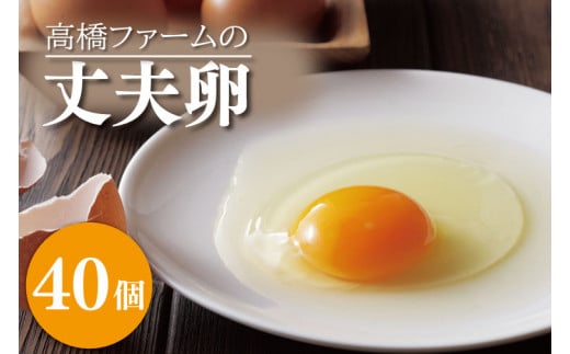 国産たまご「高橋ファームの丈夫卵」40個入り|平飼い鶏舎 卵 玉子 タマゴ 鶏卵 朝食 生卵 卵かけごはん (AQ003-1)栃木県益子町14000卵・乳製品卵(鶏、烏骨鶏等)